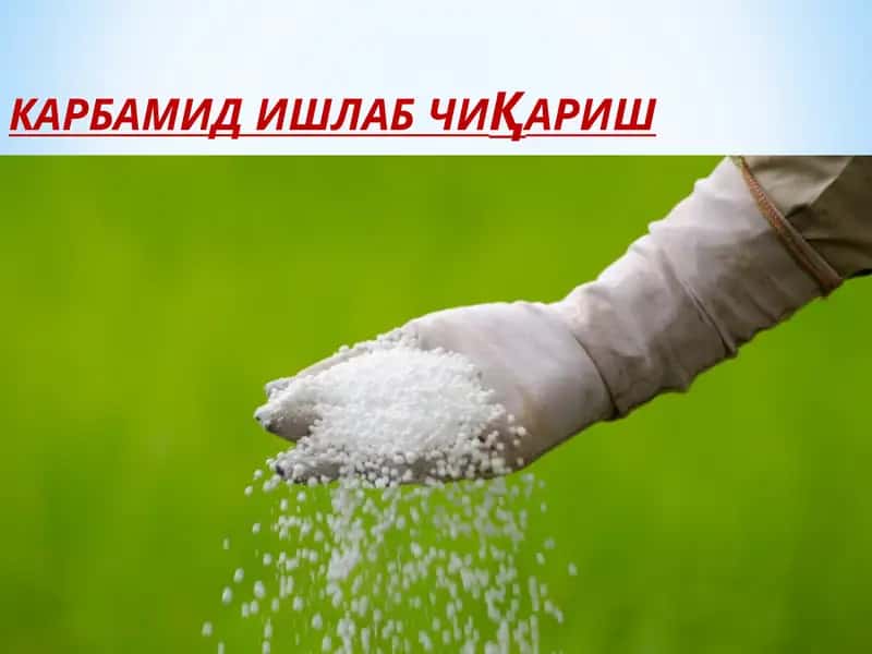 КАРБАМИД ИШЛАБ ЧИҚАРИШ