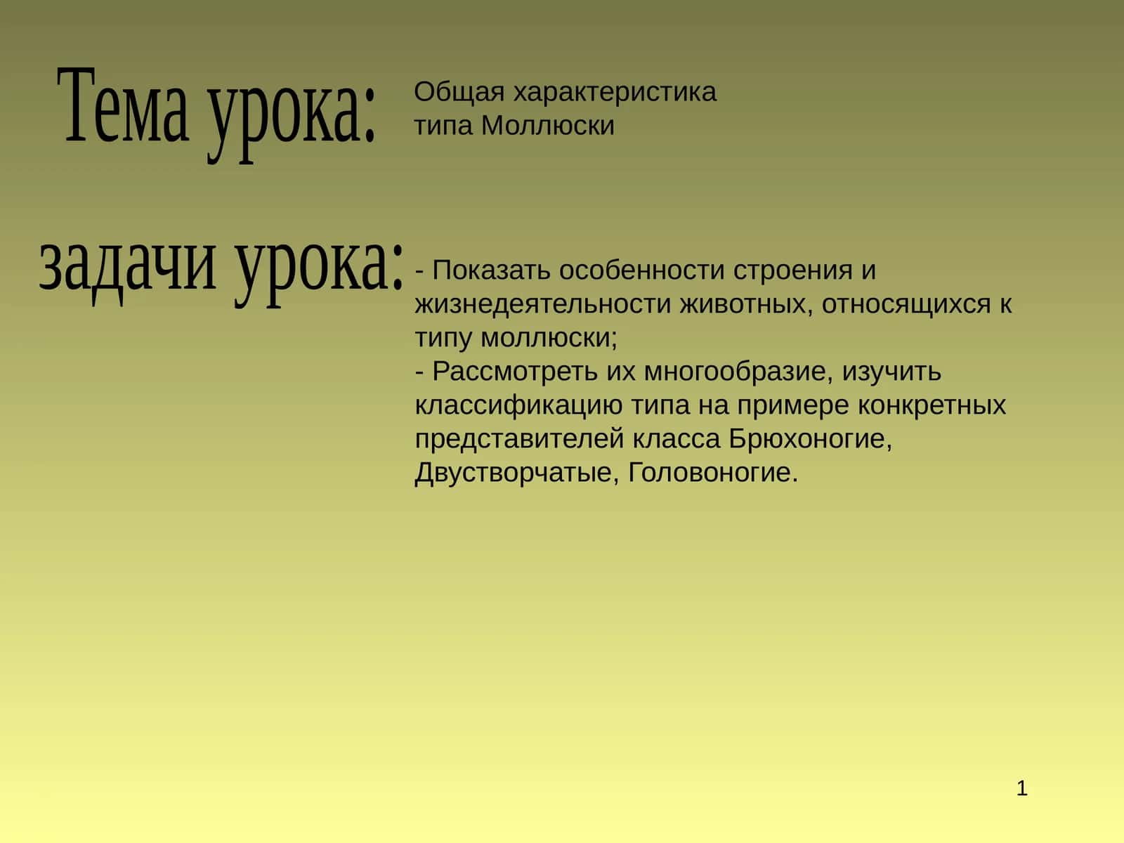 Моллюсклар