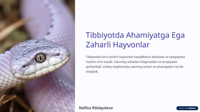 Zaharli Hayvonlar Tibbiyoti