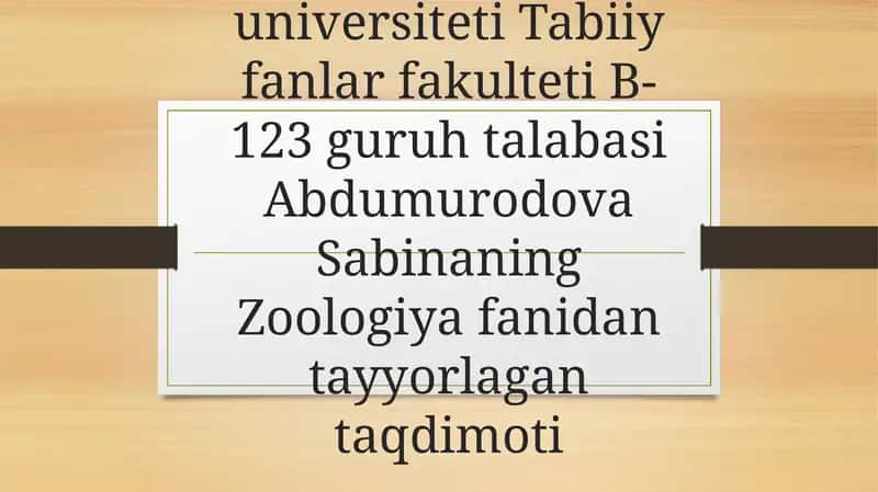 Nemertinlar (Nemertini) tuzilishi va hazm qilishi