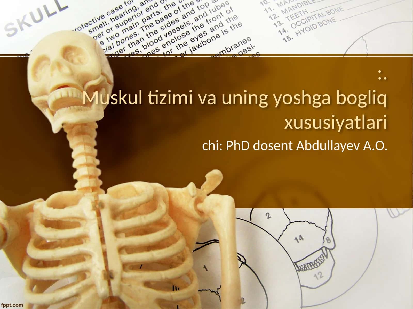 Muskul tizimi va uning yoshga bogliq xususiyatlari