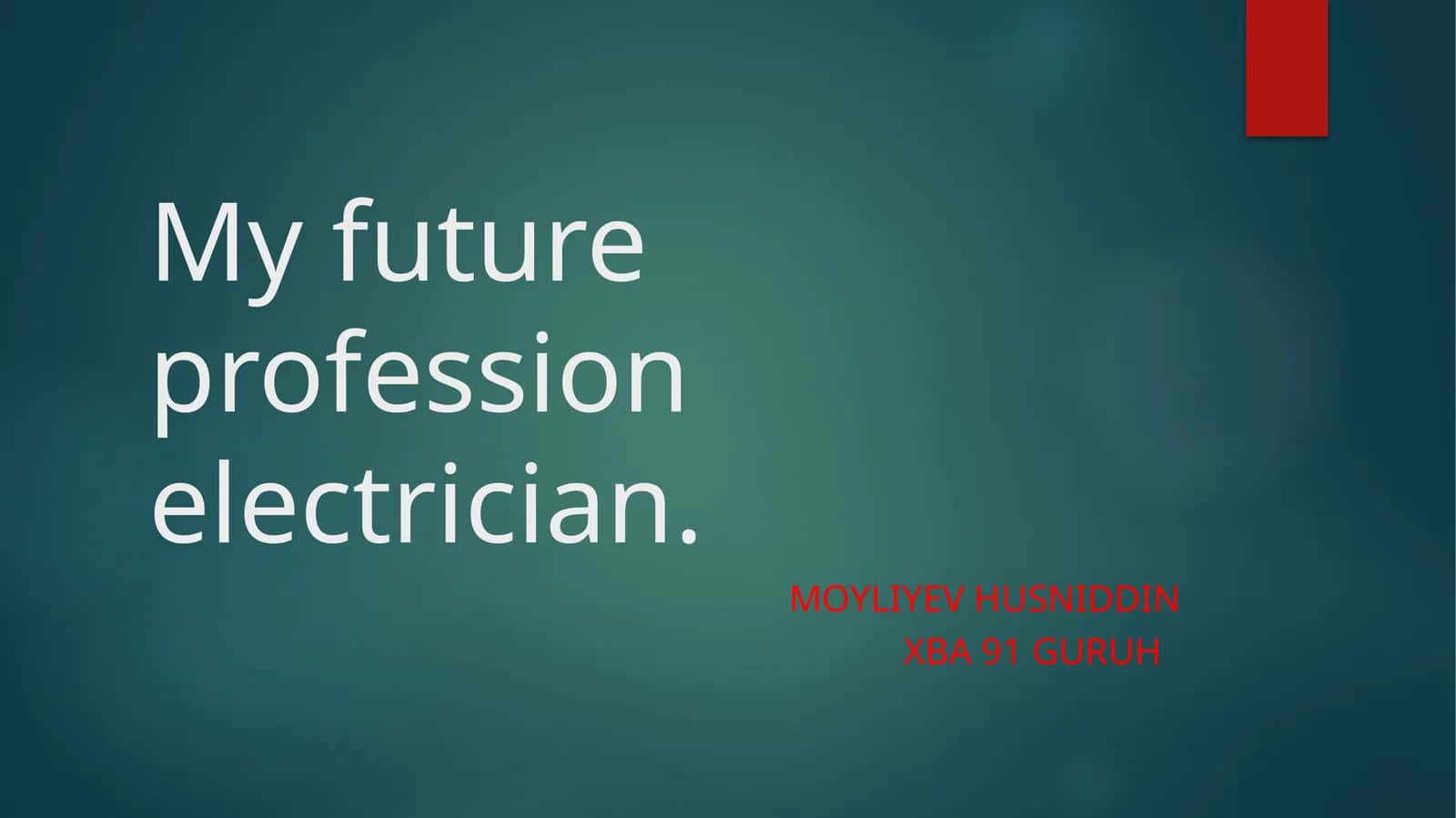 My future profession electrician