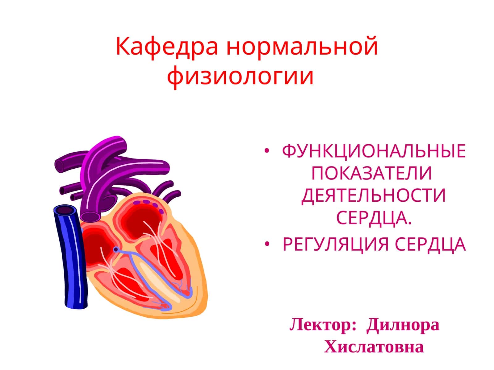 ФУНКЦИОНАЛЬНЫЕ ПОКАЗАТЕЛИ ДЕЯТЕЛЬНОСТИ СЕРДЦА