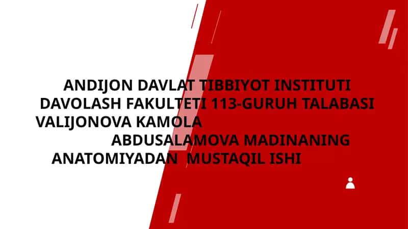 Yelka kamari va yelka mushaklari