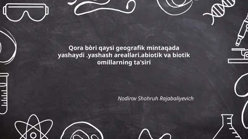 Qora bo'ri: geografik tarqalish va mintaqaviy populyatsiyalar