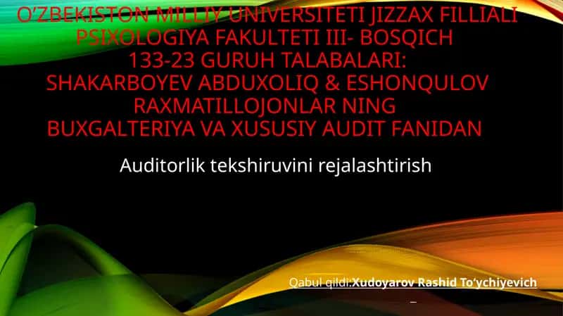 Auditorlik tekshiruvi