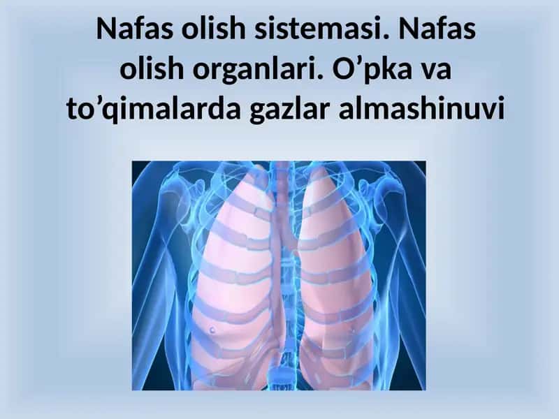 Nafasolish