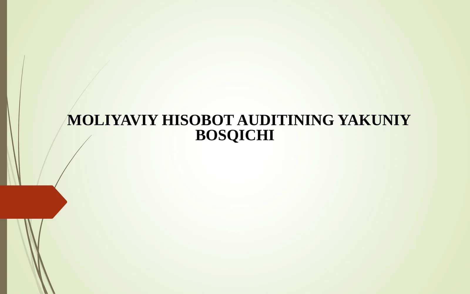 MOLIYAVIY HISOBOT AUDITINING YAKUNIY BOSQICHI