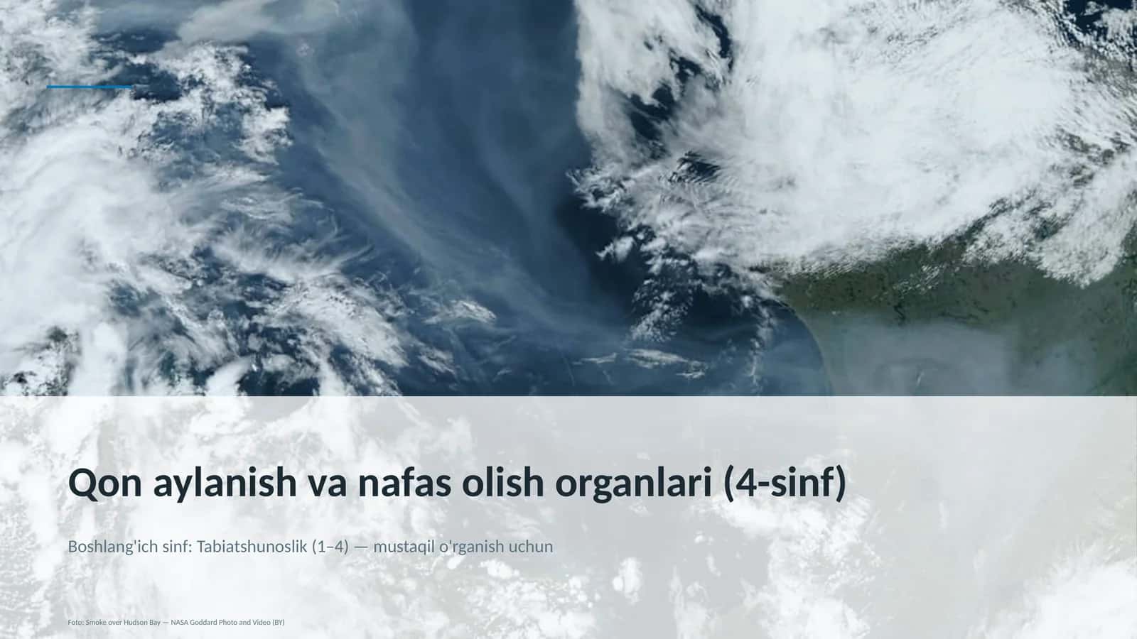 Qon aylanish va nafas olish organlari (4-sinf)