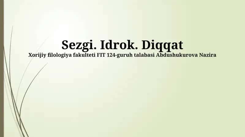 Sezgi