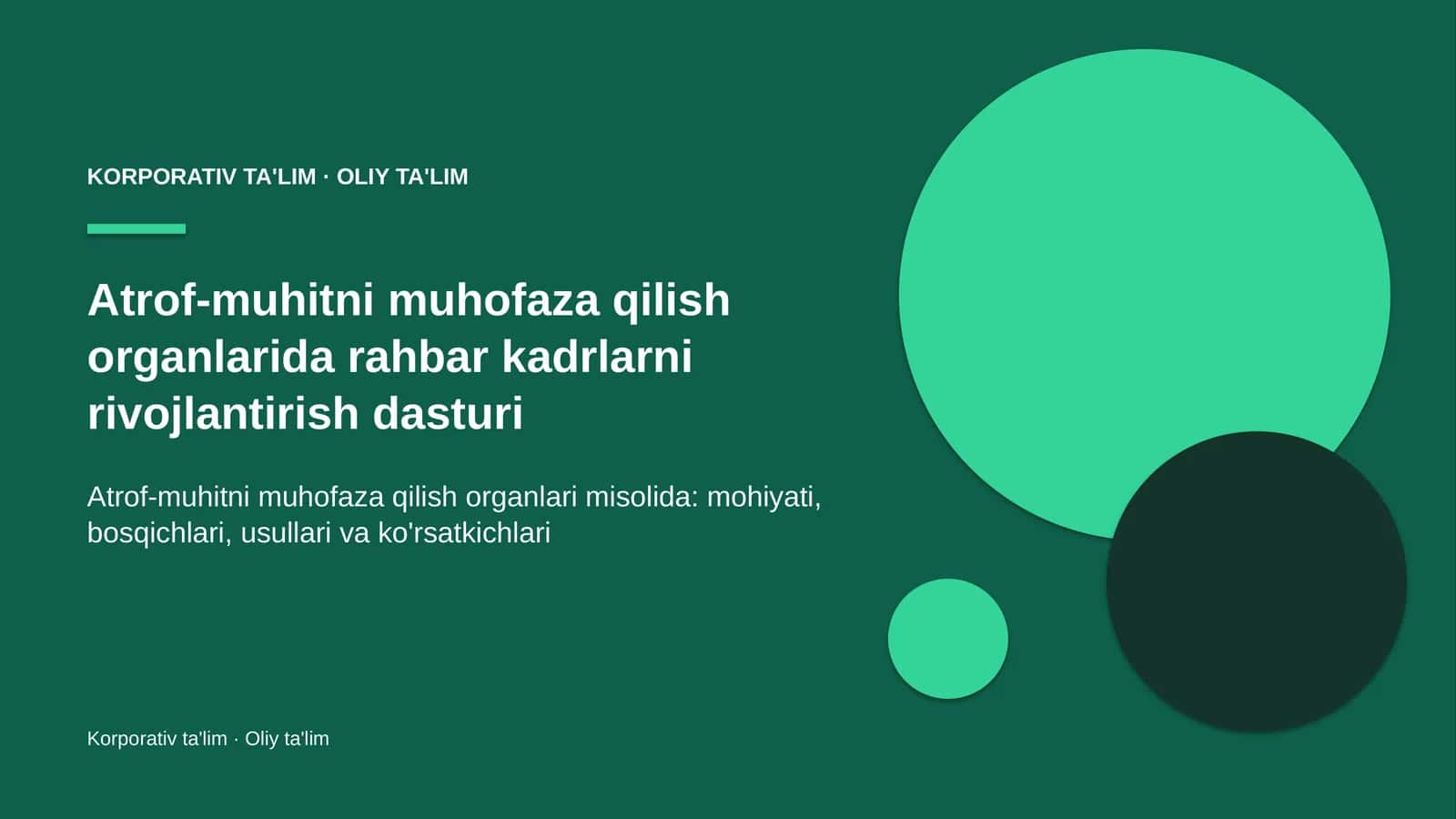 Atrof-muhitni muhofaza qilish organlarida rahbar kadrlarni rivojlantirish dasturi
