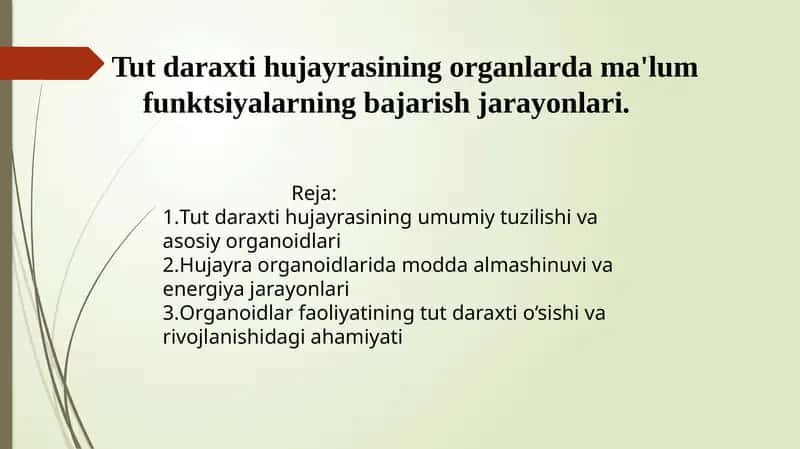 Tut daraxti hujayrasining organlardagi ma'lum funksiyalarning bajarilish jarayonlari