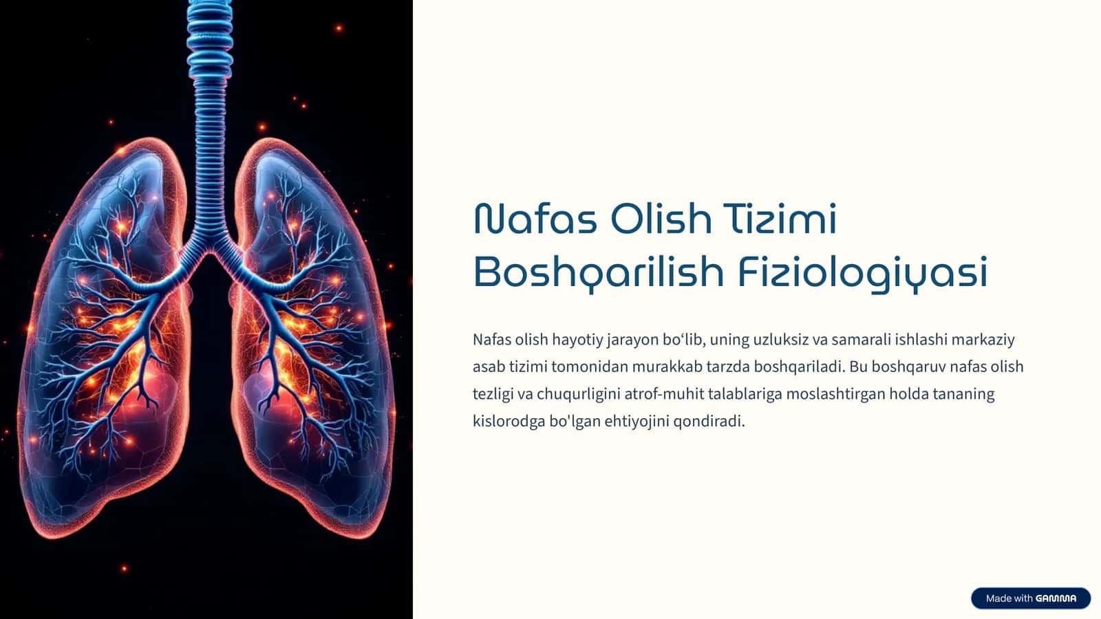 Nafas Olish Tizimi Boshqarilish Fiziologiyasi