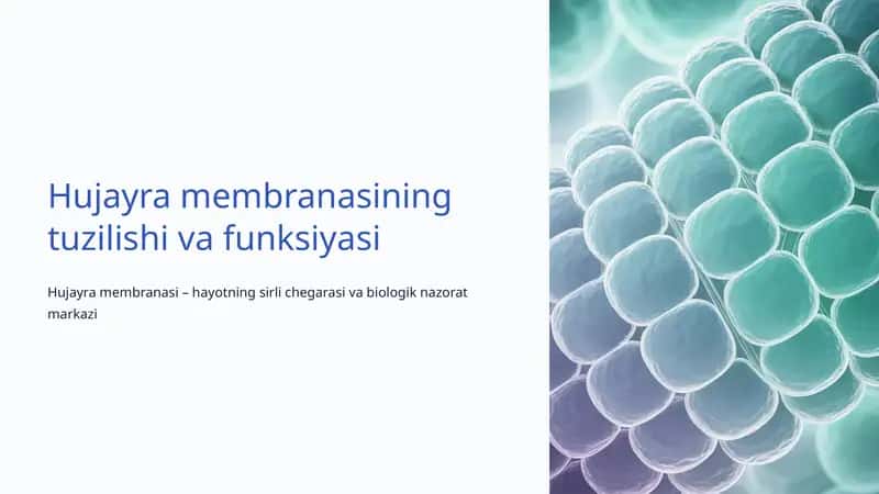 Hujayra membranasining tuzilishi va funksiyasi