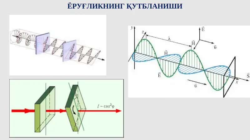 Ёрғликнинг қутбланиши
