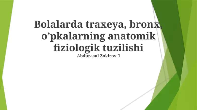 Bolalarda traxeya, bronx, o’pkalarning anatomik fiziologik tuzilishi