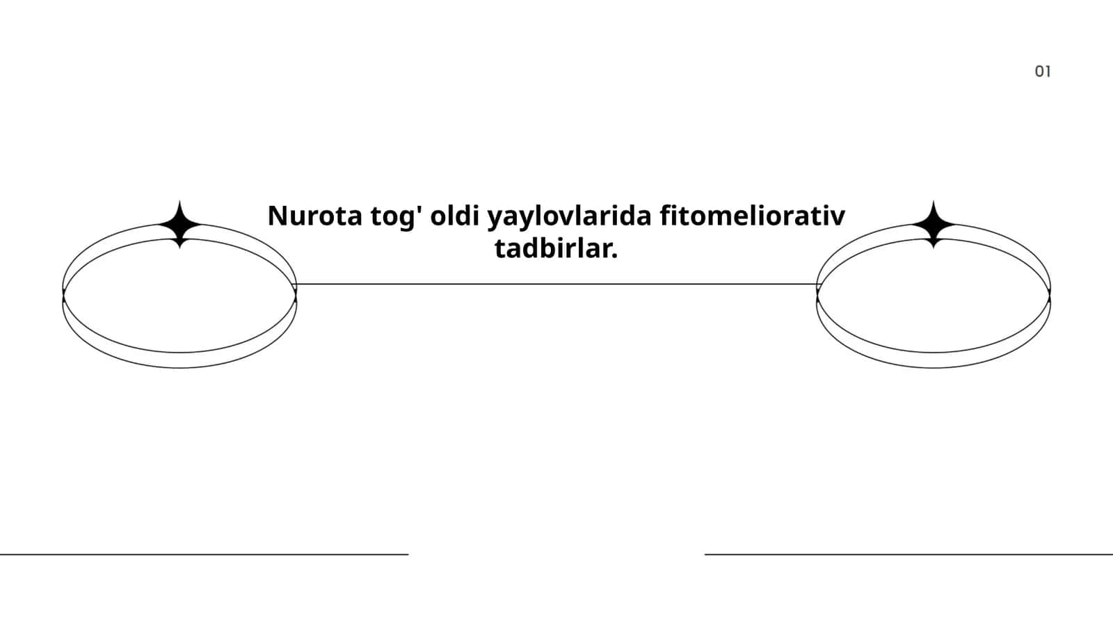 Nurota tog' oldi yaylovlarida fitomeliorativ tadbirlar