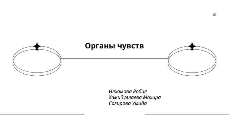 Органы чувств