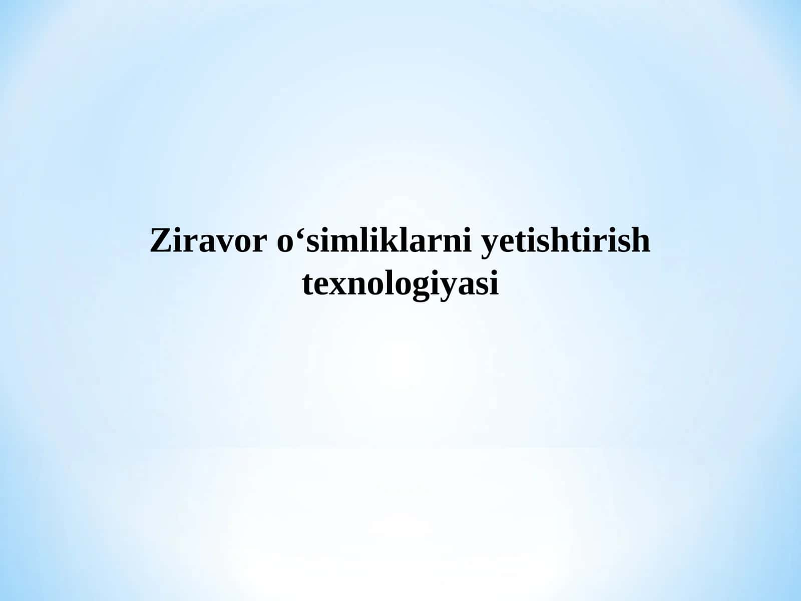 Ekma za'faron o‘simliklarini yetishtirish texnologiyasi