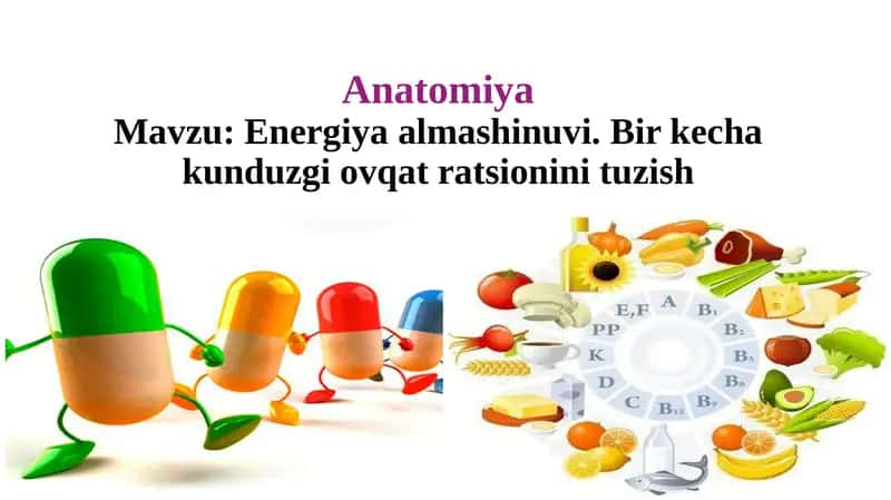 Energiya almashinuvi. Bir kecha kunduzgi ovqat ratsionini tuzish