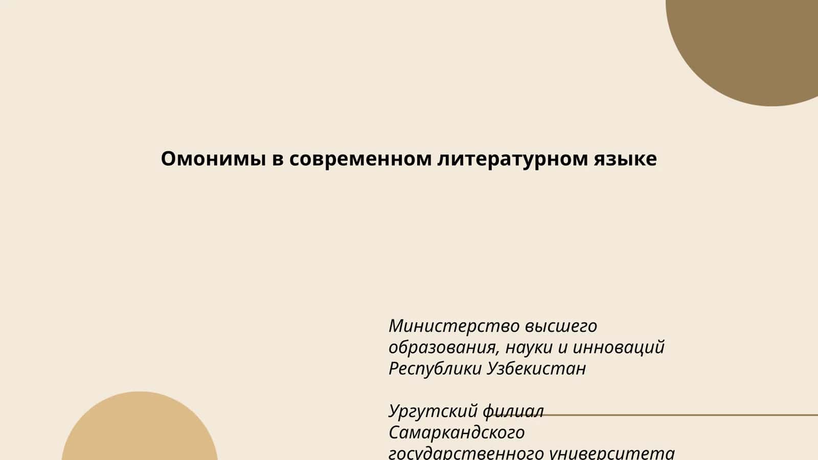 Омонимы в современном литературном языке