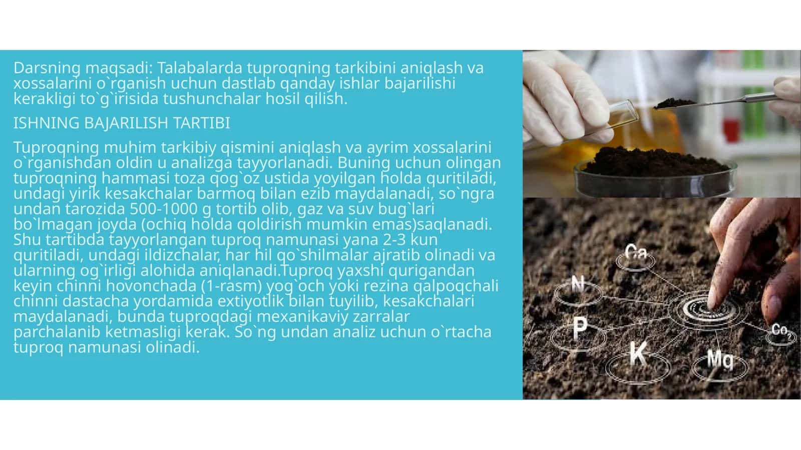 O’simlik, tuproq namunasini olish va uni tahlilga tayyorlash