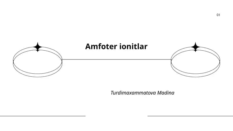 Amfoter ionitlar