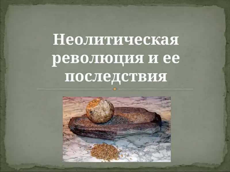 Неолитическая революция и ее последствия