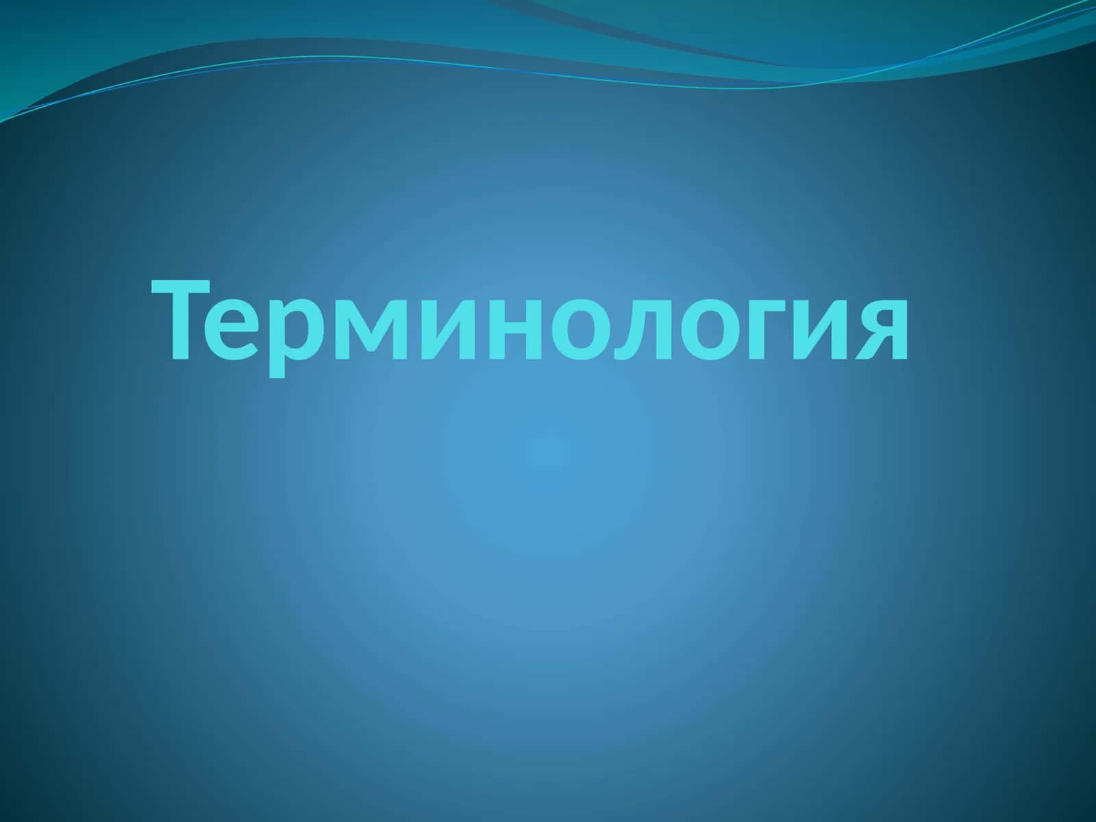 Терминология