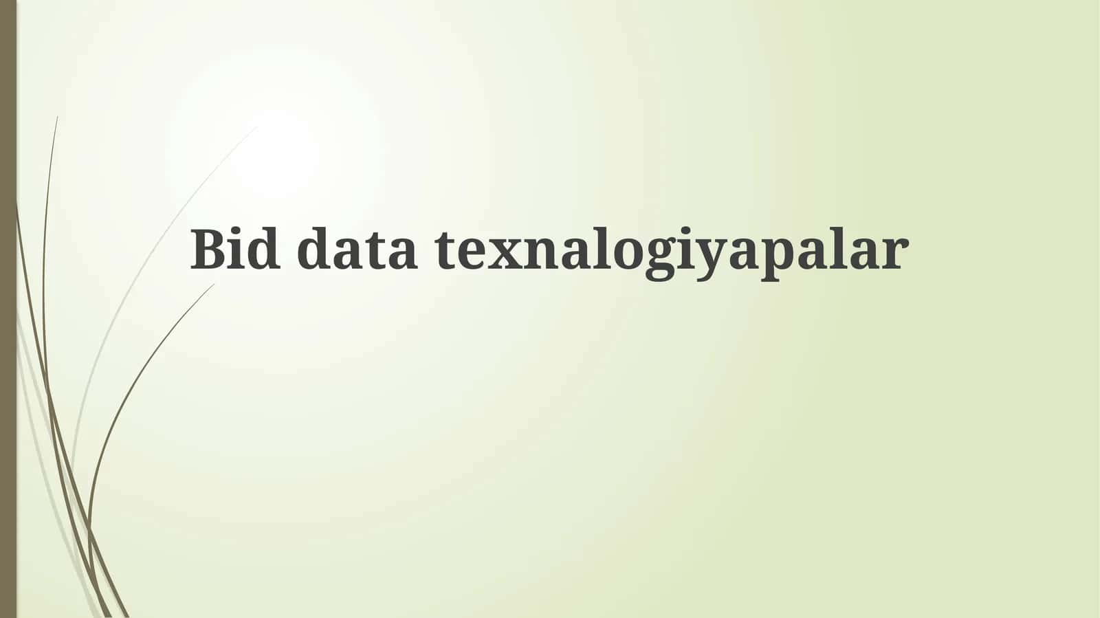 Bid datatexnalogiyapalar