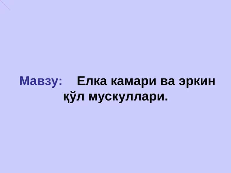Елка камари ва эркинқўл мускуллари