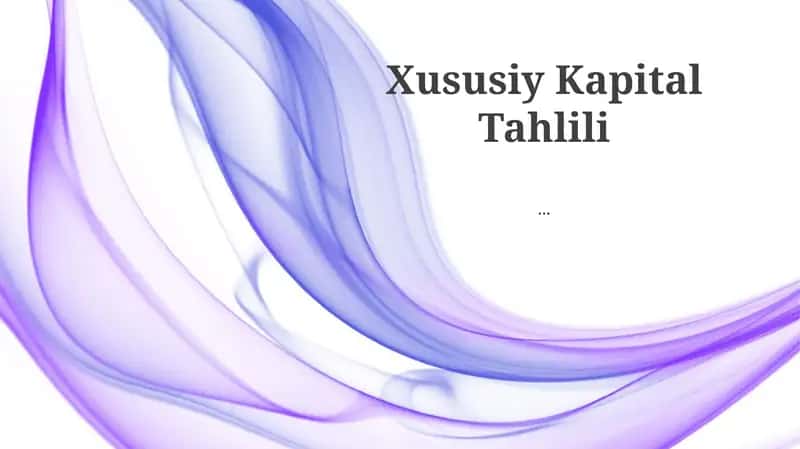 Xususiy Kapital Tahlili