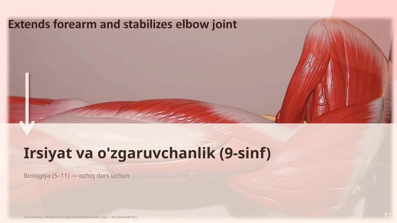 Biologiya (5–11) — ochiq dars uchun