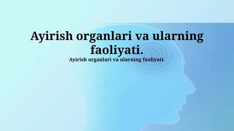 Chiqaruv organlari va ularning faoliyati