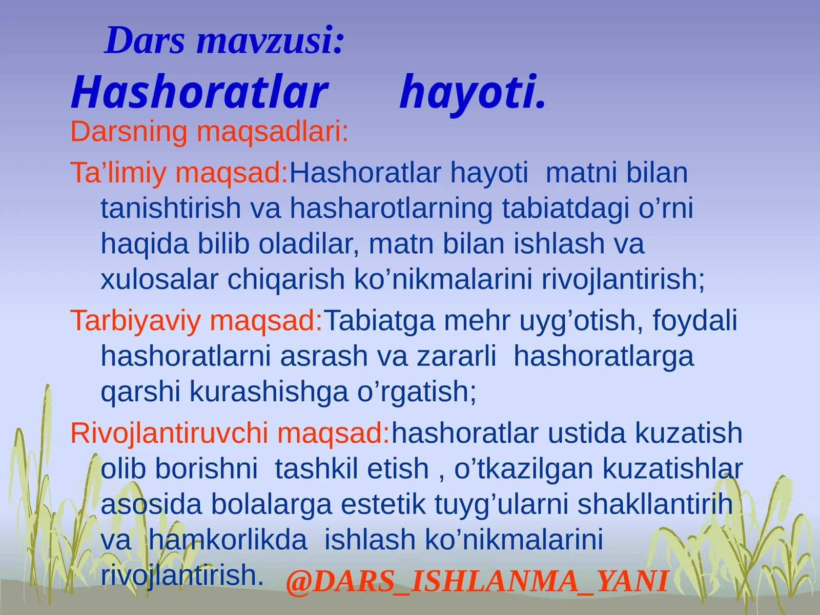Hashoratlar hayoti