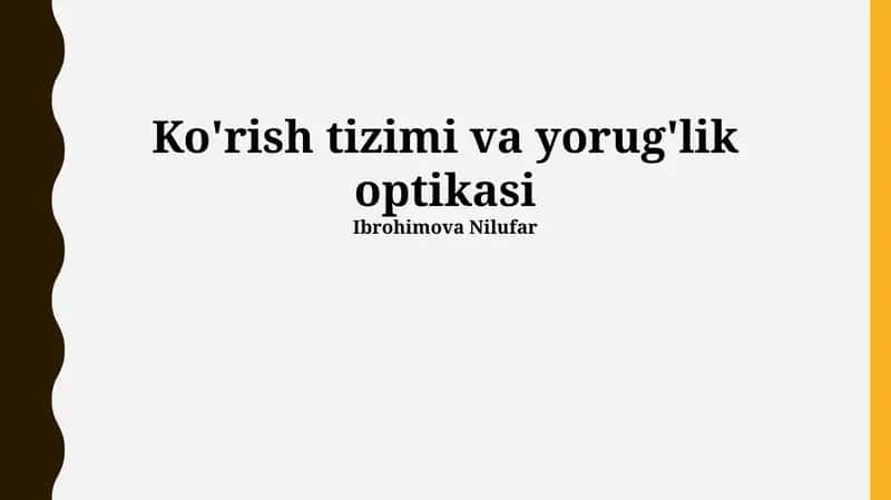 Ko'rish tizimi va yorug'lik optikasi
