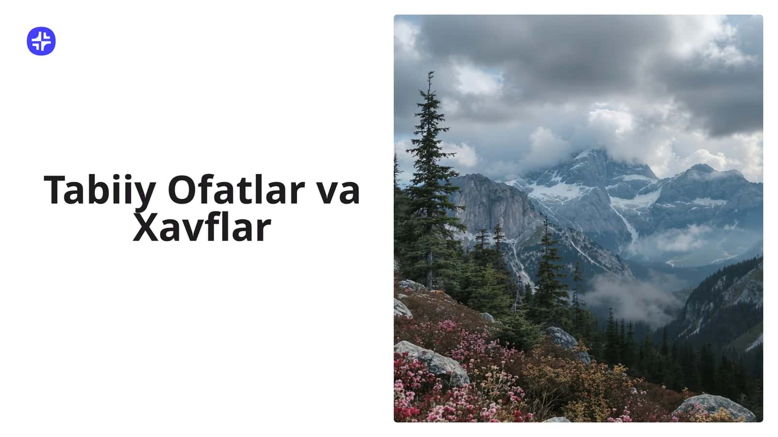 Tabiiy Ofatlar va Xavflar