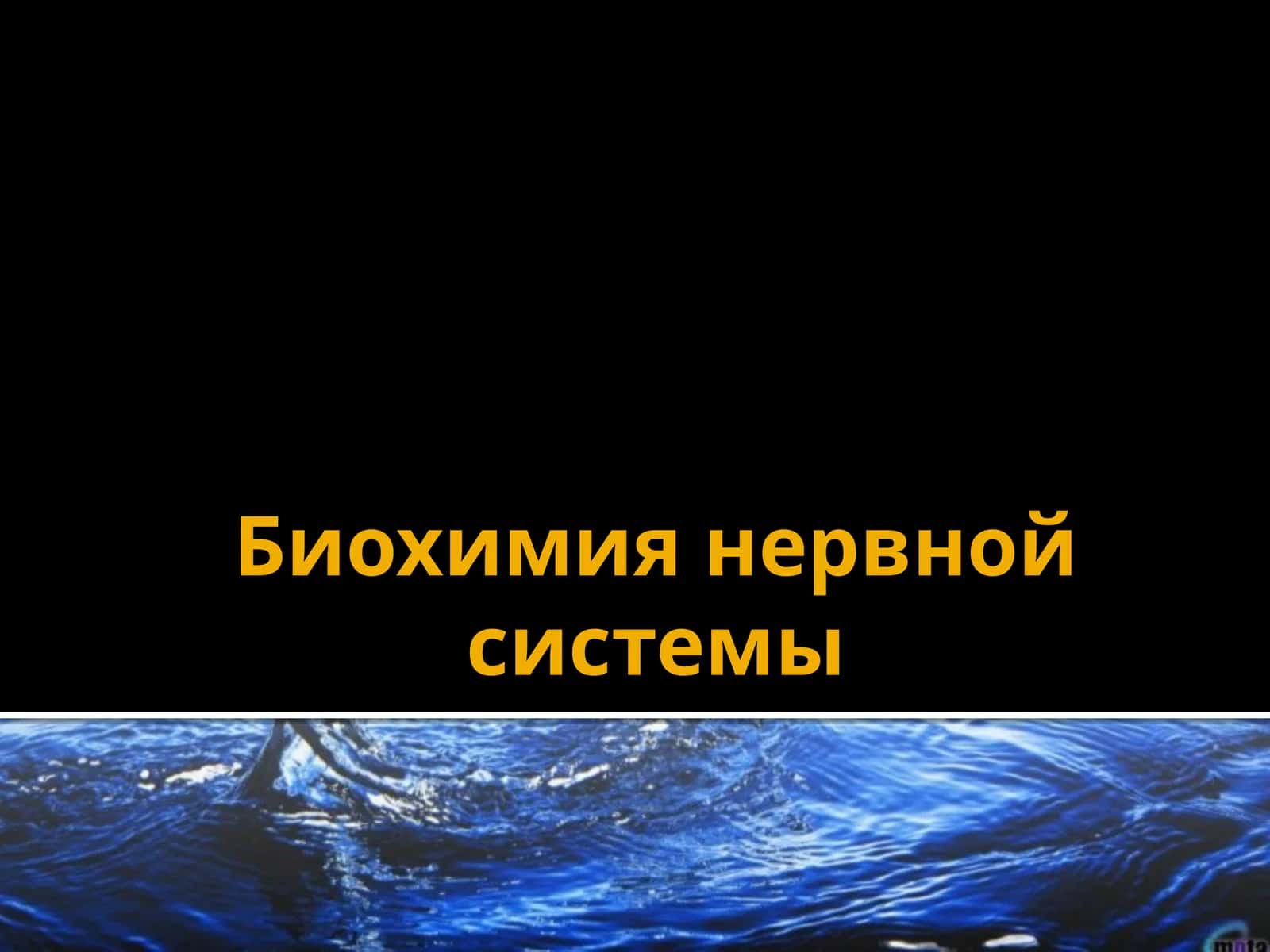 Биохимия нервной системы