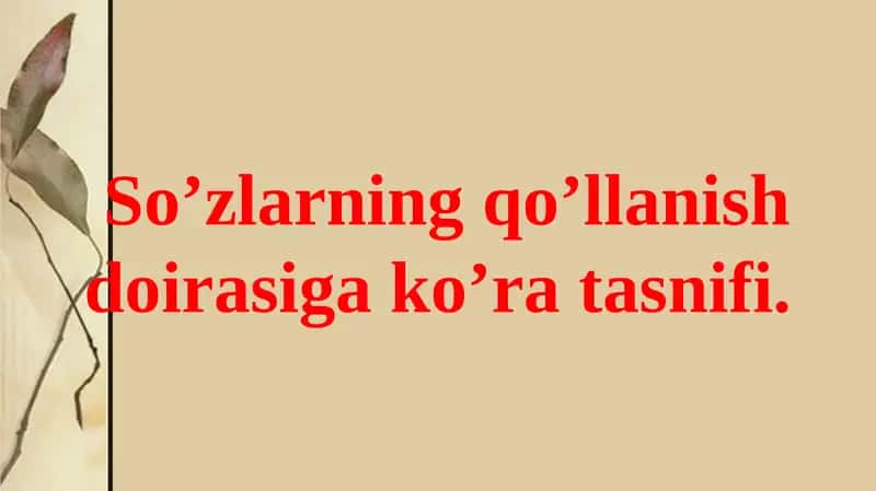 So’zlarning qo’llanish doirasi