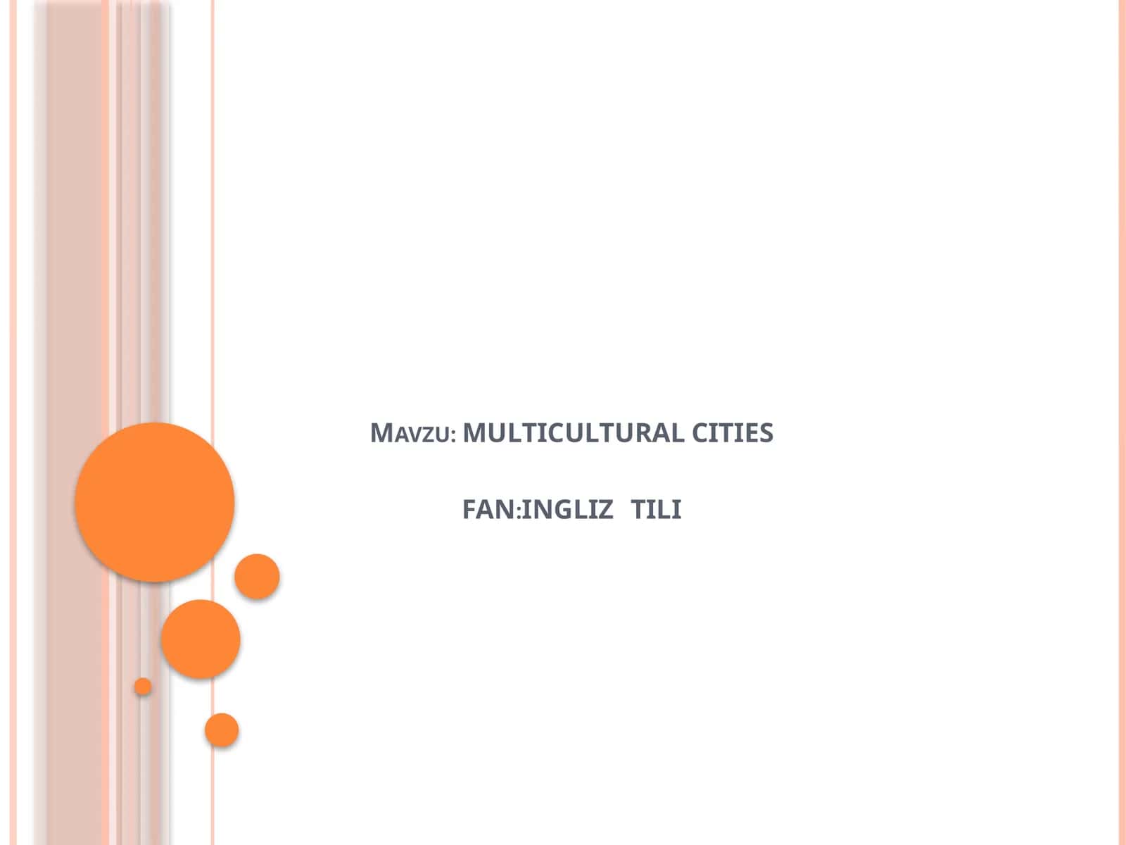 MULTICULTURAL CITIES