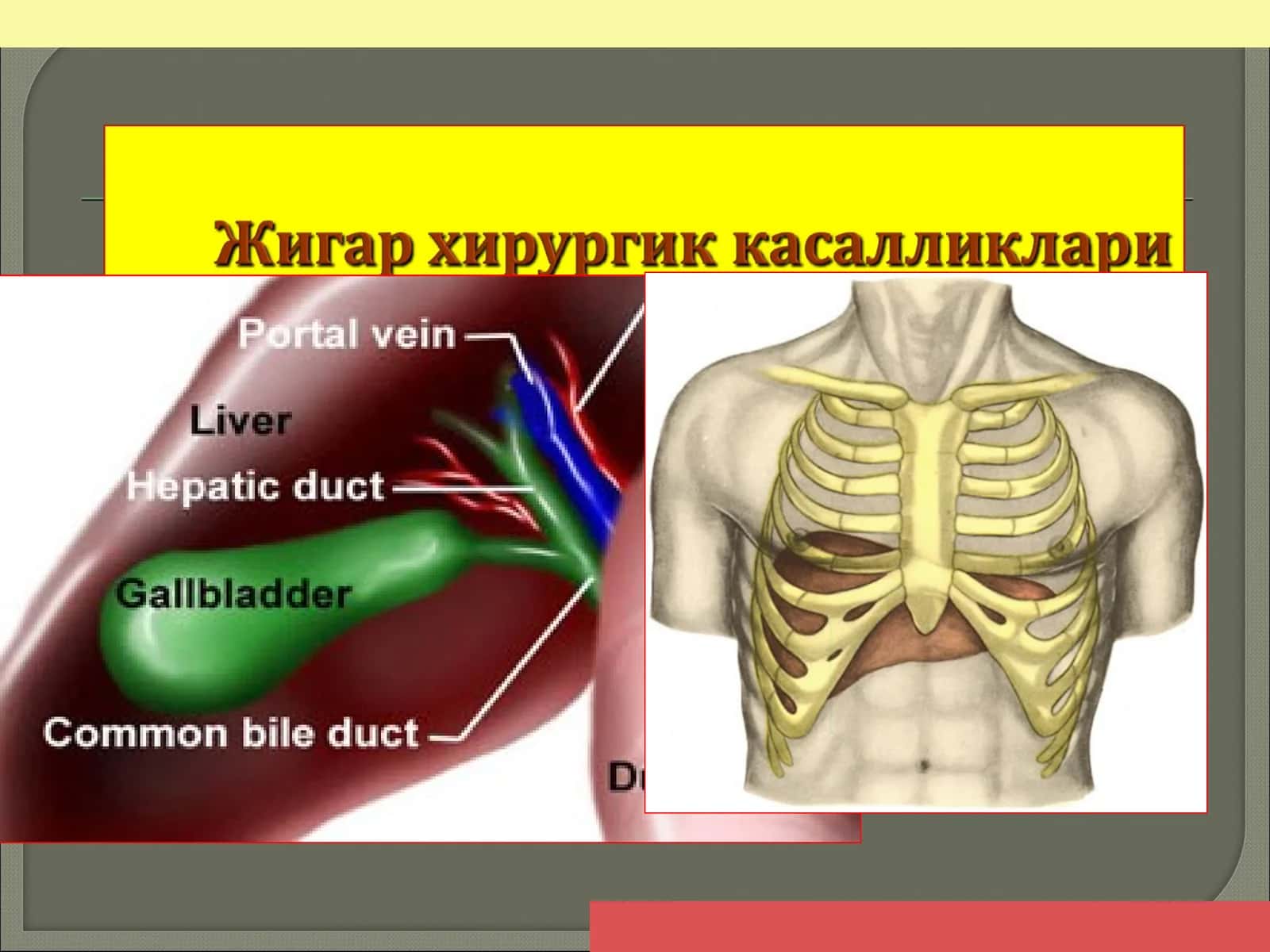 Жароҳатлар турига қараб