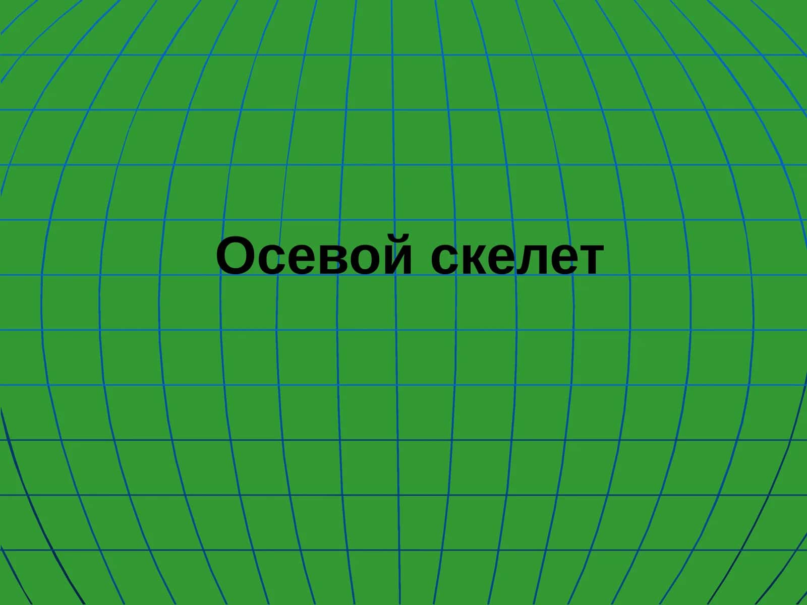 Осевой скелет