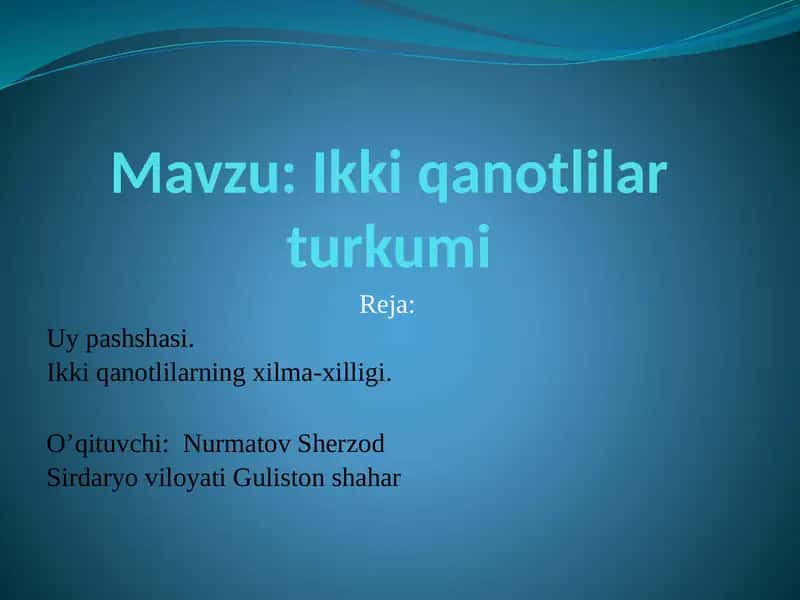 Ikki qanotlilar turkumi