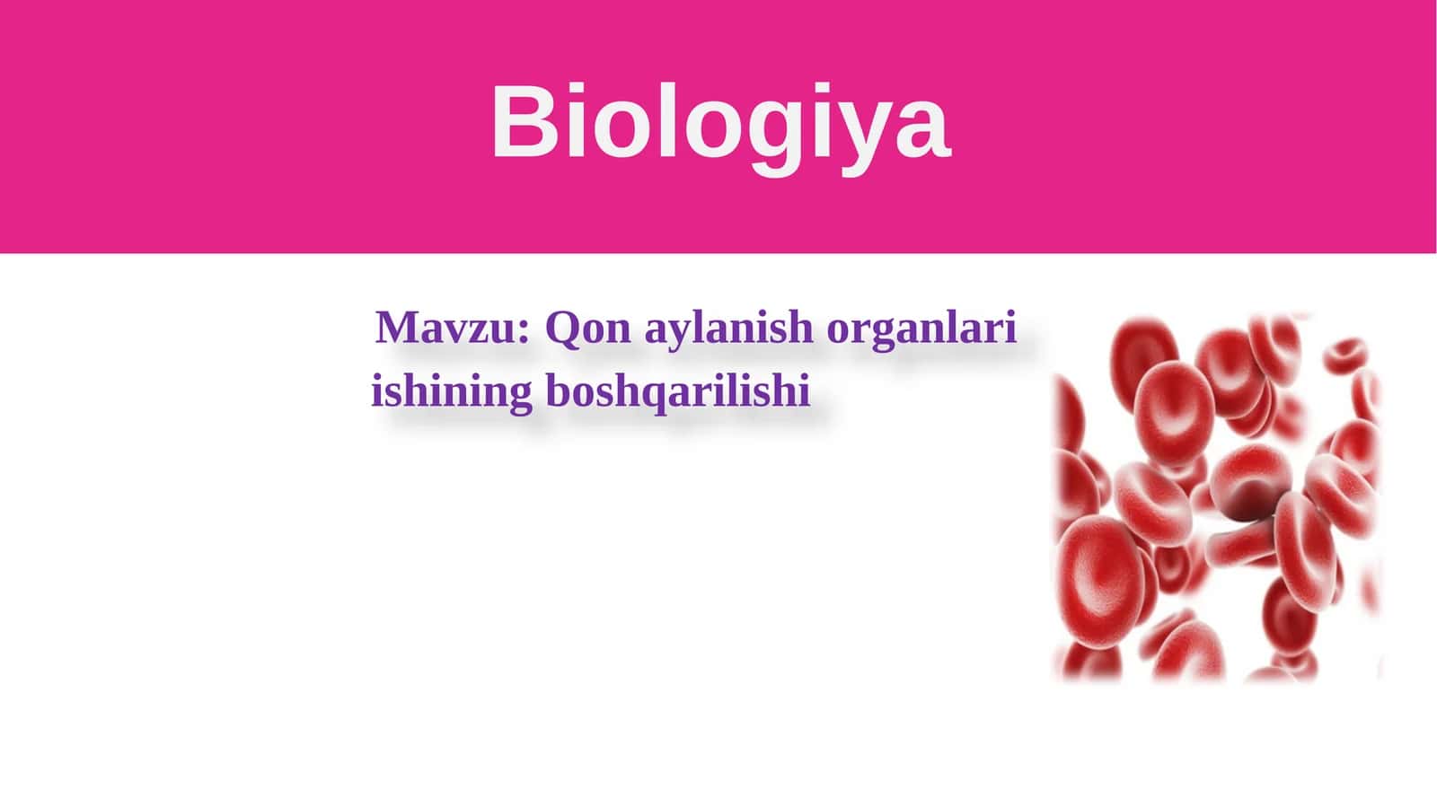 Qonaylanish Organlari Ishini Boshqarilishi