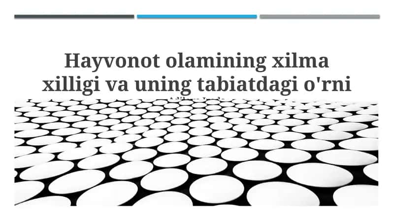 Hayvonot olamining xilma xilligi va uning tabiatdagi o'rni