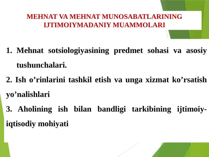 MEHNAT VA MEHNAT MUNOSABATLARINING IJTIMOIYMADANIY MUAMMOLARI