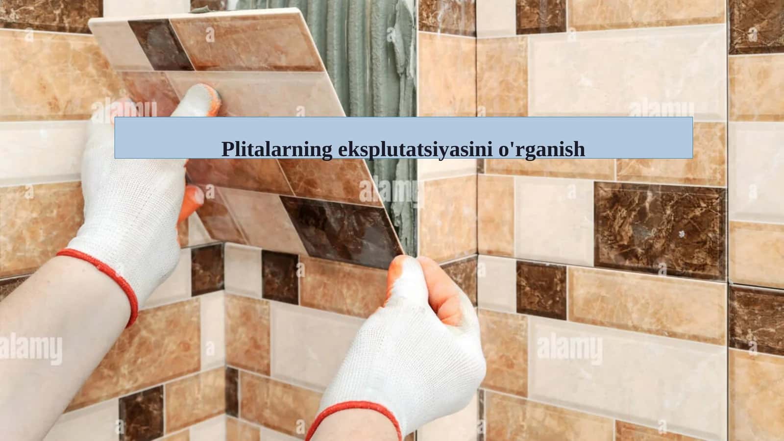 Plitalarning eksplutatsiyasini o'rganish