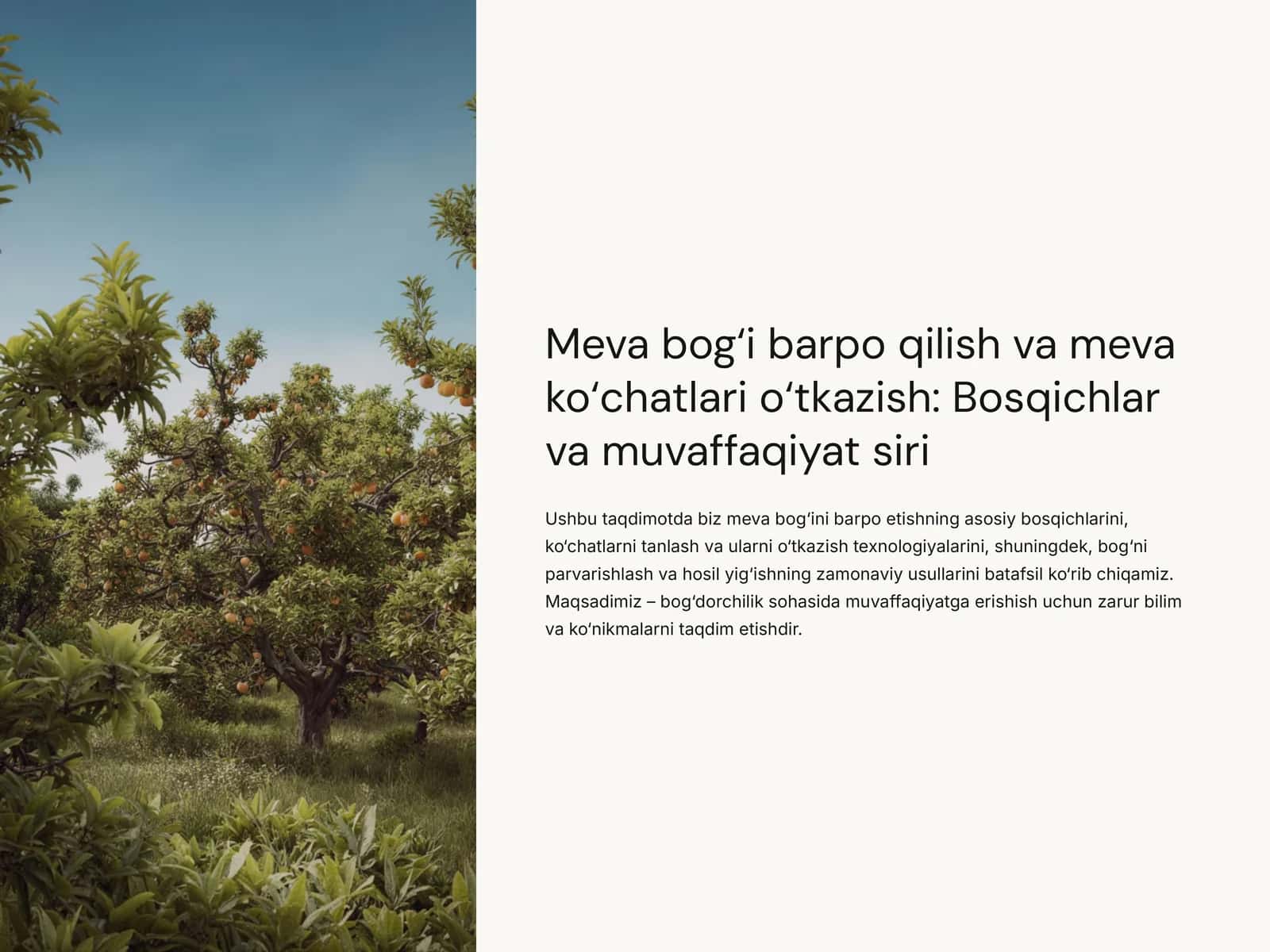 Meva-bog'i-barpo-qilish-va-meva-ko'chatlari-o'tkazish-Bosqichlar