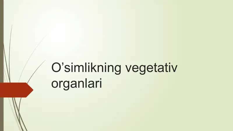 Vegetativ organlar