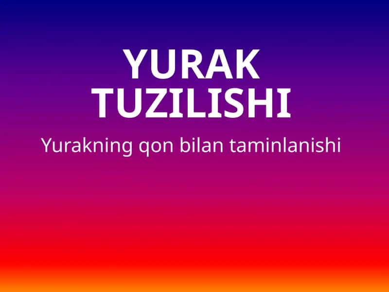 Yuraktuzilishi
